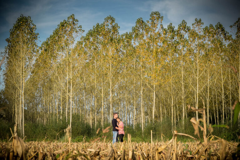 Une personne au milieu d’une allée bordée d’arbres